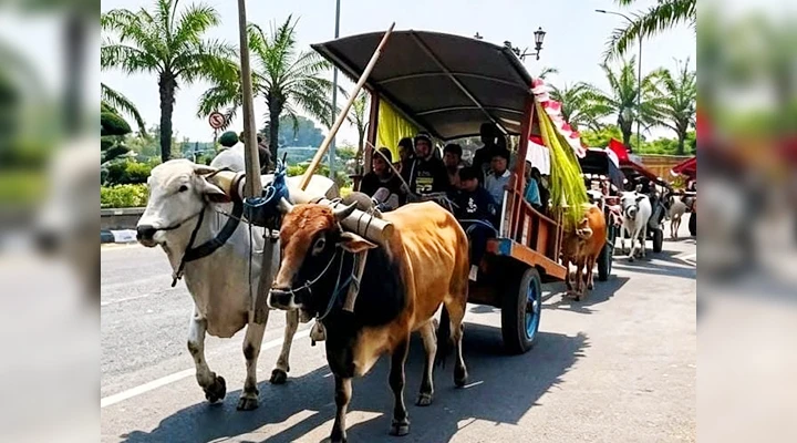 Hanya Ada di Kediri Parade Cikar untuk Memeriahkan HUT Kemerdekaan RI 