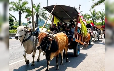Hanya Ada di Kediri Parade Cikar untuk Memeriahkan HUT Kemerdekaan RI 