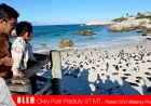 Berbagai Tempat Wisata yang Eksklusif dan Indah di Cape Town, Afrika Selatan