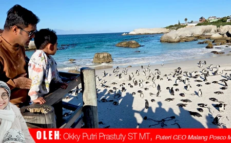 Berbagai Tempat Wisata yang Eksklusif dan Indah di Cape Town, Afrika Selatan
