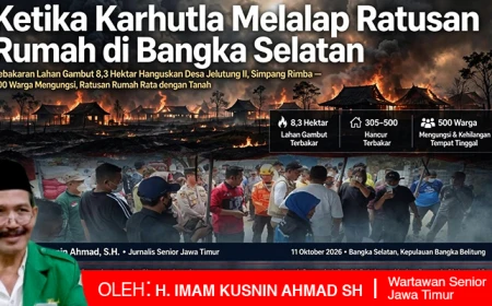 Mengungkap Penyebab Karhutla yang Melalap Ratusan Rumah di Bangka Selatan